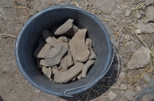Diagnostic pottery in a bucket. Remember, Dirt goes in a goofa, pottery goes in a bucket.