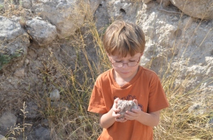 Examining a fragment of a mud brick at Beth Shemesh